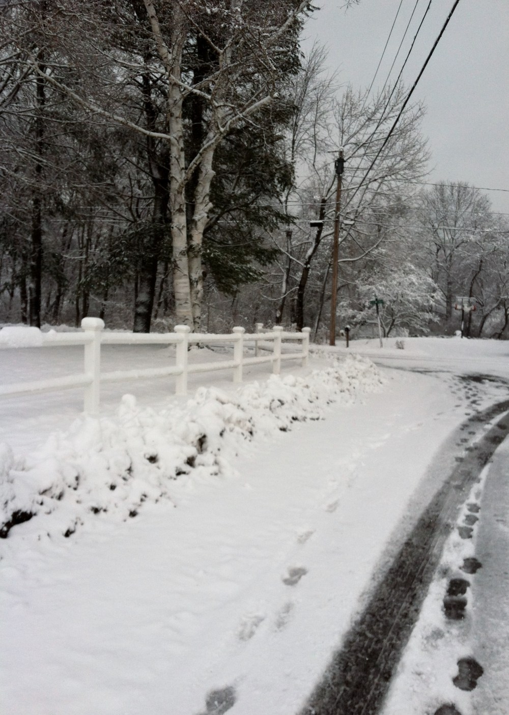 Scenes From a Winter's Run