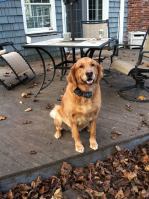 1001864_10201859479993650_633690125_n