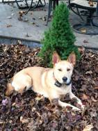 1012423_10201850785176285_332795144_n