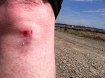 521739_10201260434657891_1619077758_n