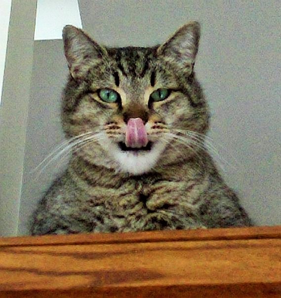 Jonesie The Comedian