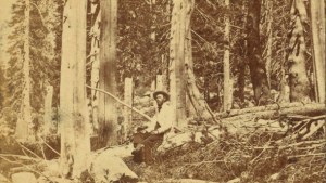 donner-part-starvation-camp