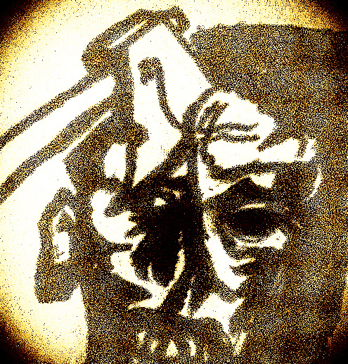 12715362_10209204150525823_7270388323733410981_n_edited_edited_edited_edited