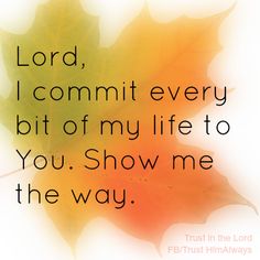 1cd9a5fb1f28de7f783b1a3df73d065d