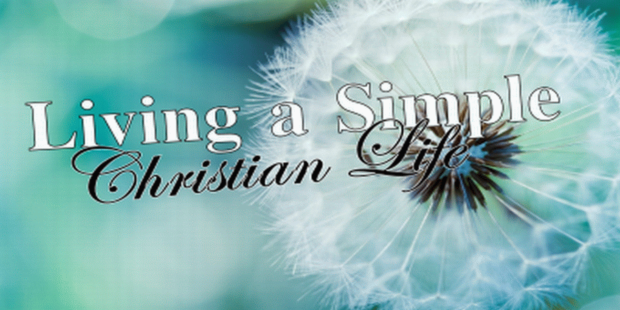 SimpleLivingBlogWIDE