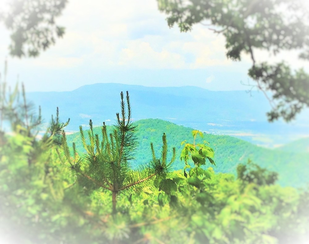 mountains sing tree clap 2