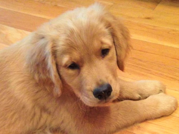 14022211_10210950374180323_4311657546455747167_n