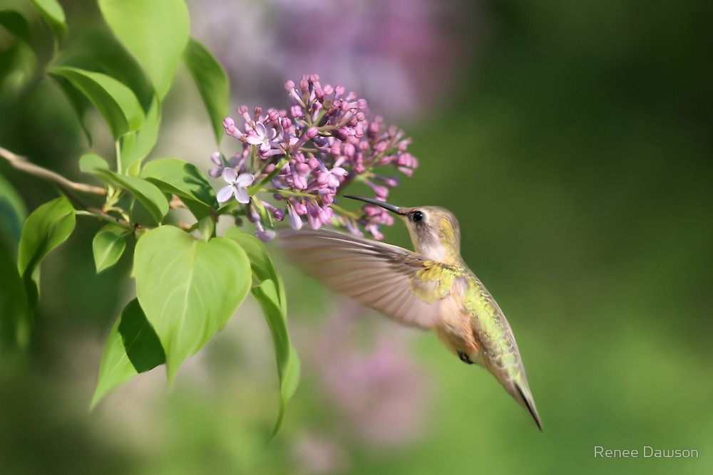 flat,1000x1000,075,f