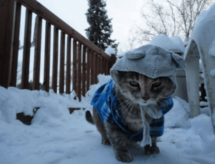 Now-my-heart-matches-the-frigid-weather