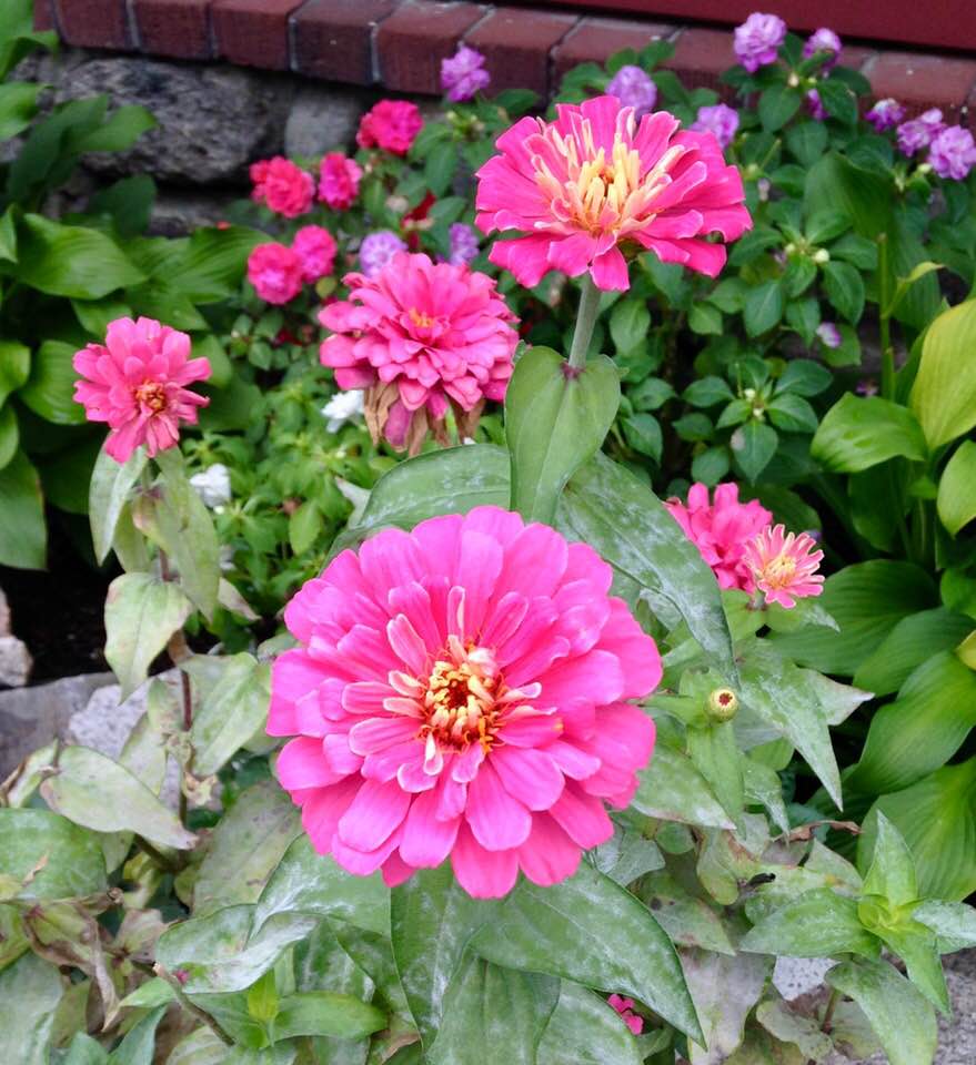 32073138_10217220564571164_4519734049975042048_n