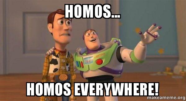 homos-homos-everywhere