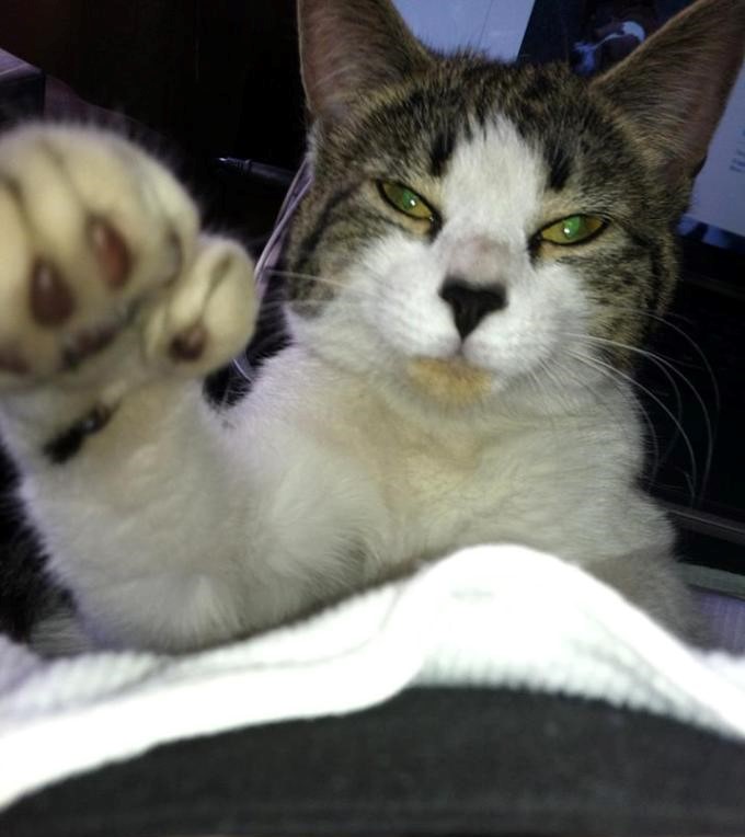 562312_10202549229916967_277776572_n