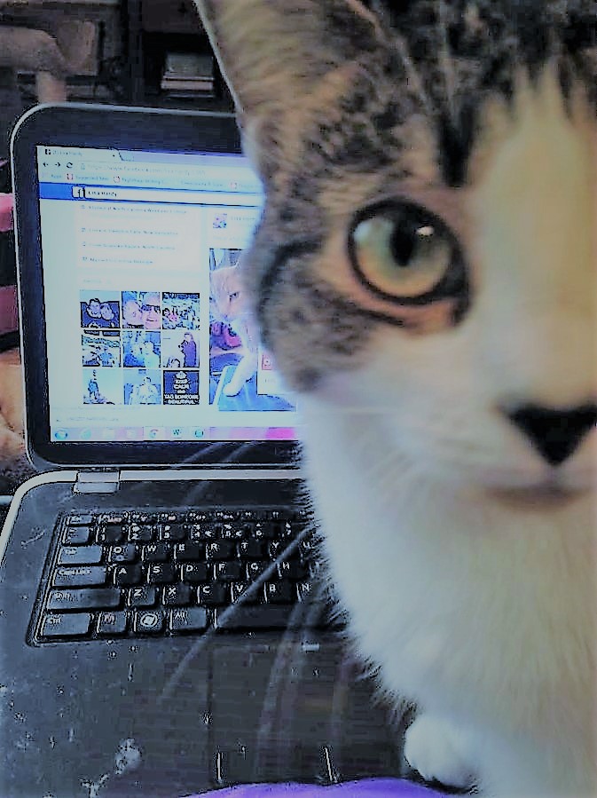 "You may pet me now."